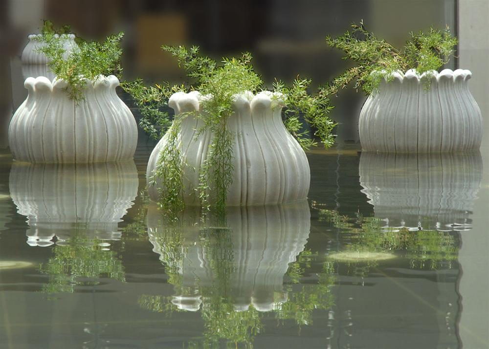 Jaipur Marriott Hotel Extérieur photo The watercress is a common plant used in the method.